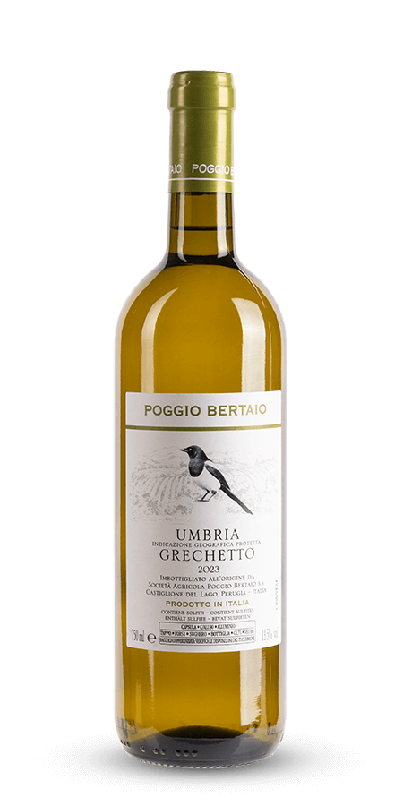 Poggio Bertaio, Umbria "Grechetto Umbria Bianco" - 2023