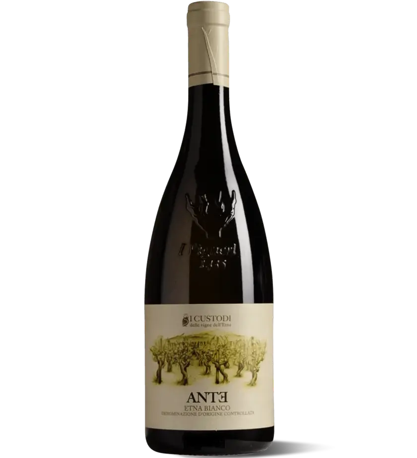 I Custodi delle vigne dell'Etna, Etna Bianco "Ante" - 2021
