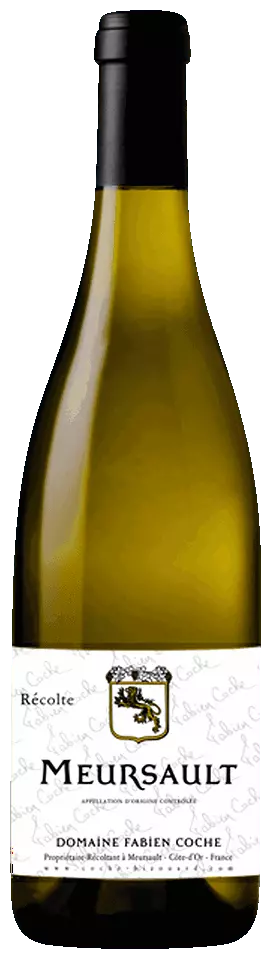 Fabien Coche, Meursault "Meursault" - 2023 