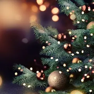 Kerstmenu 2025 - take-away