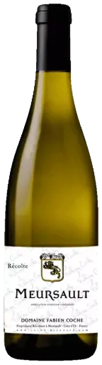 Fabien Coche, Meursault "Meursault" - 2023 